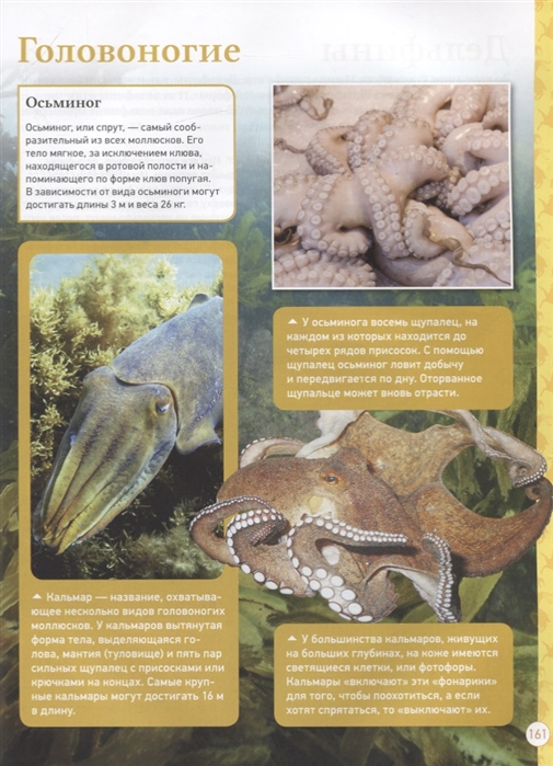 Книга Лучшая детская энциклопедия - миниатюра 2