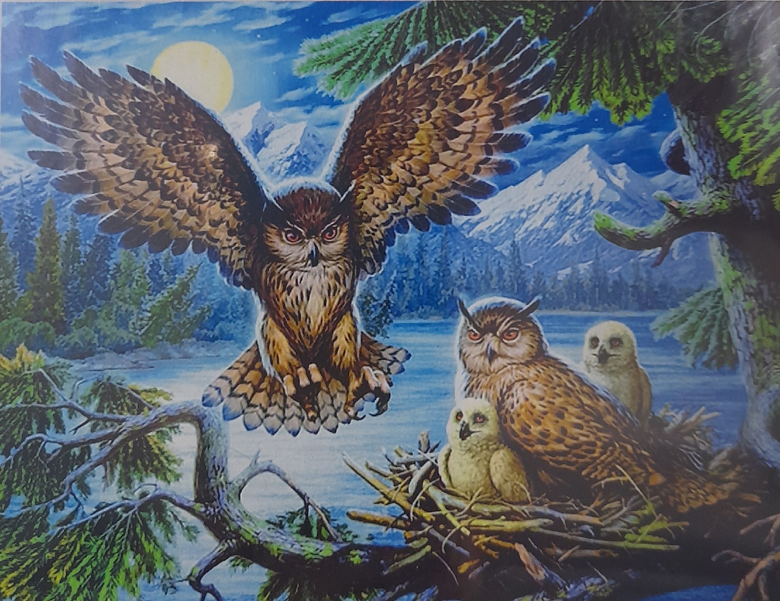 Картина стразами 40*50 Совушки - фото 1
