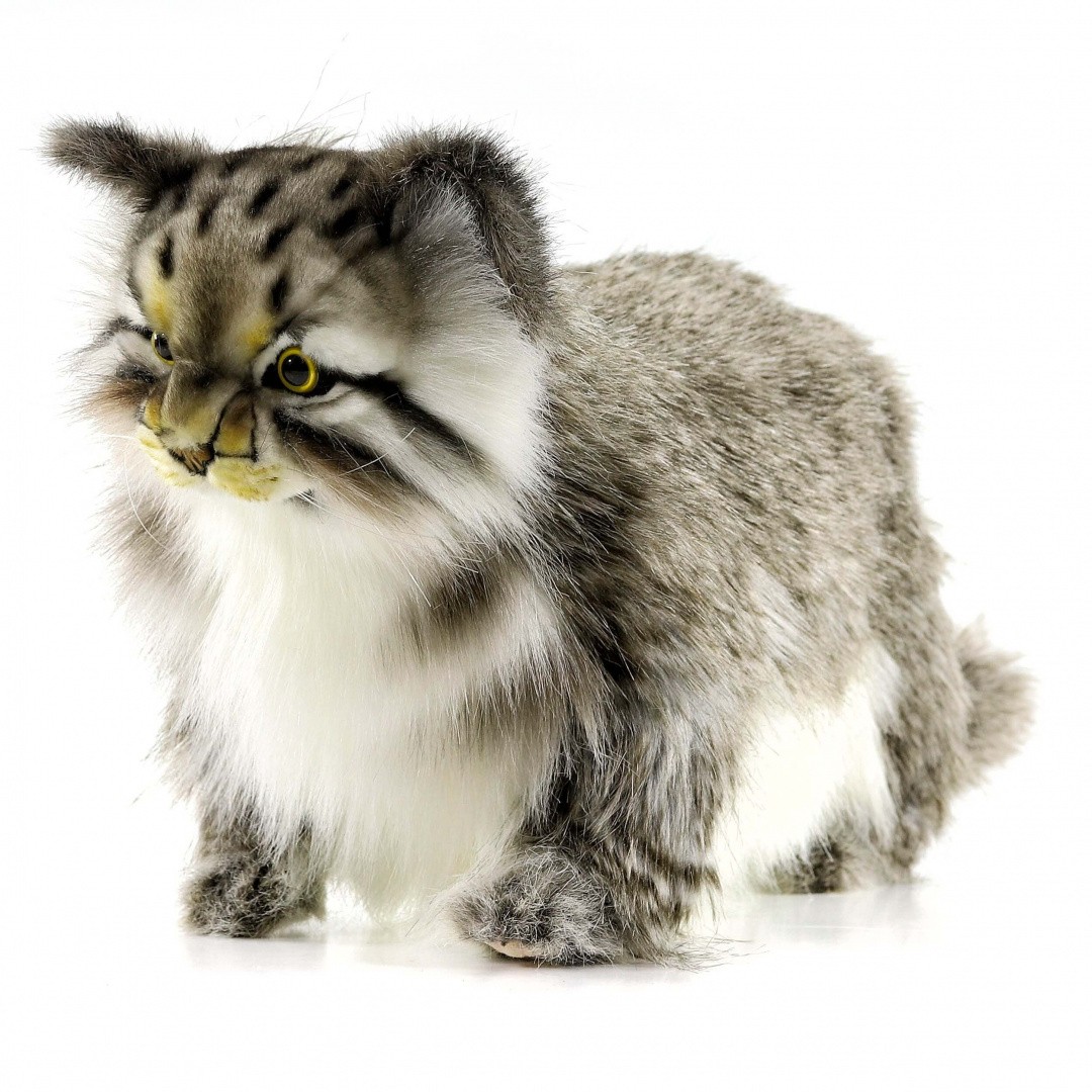 Мягкая игрушка Hansa Манул стоящий 30см - фото 1