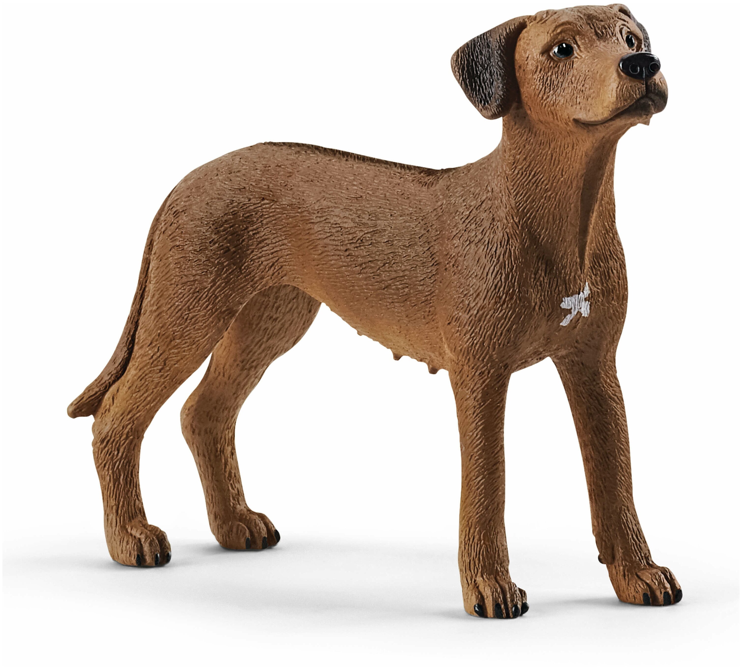 Фигурка коллекционная Собака Родезийский риджбек SCHLEICH - фото 1