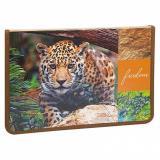 Папка д/труда А4 1отд. Дикие кошки - фото 1