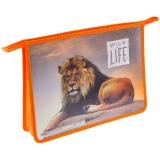  Папка д/труда А4 2отд. Дикие кошки - фото 1