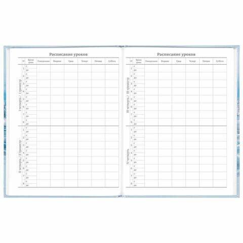 Дневник 5-11 класс Discover BRAUBERG - миниатюра 3