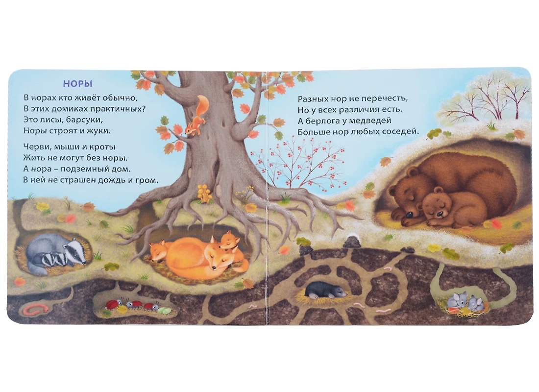 Книга - картонки Удивительные дома животных Робинс - миниатюра 2