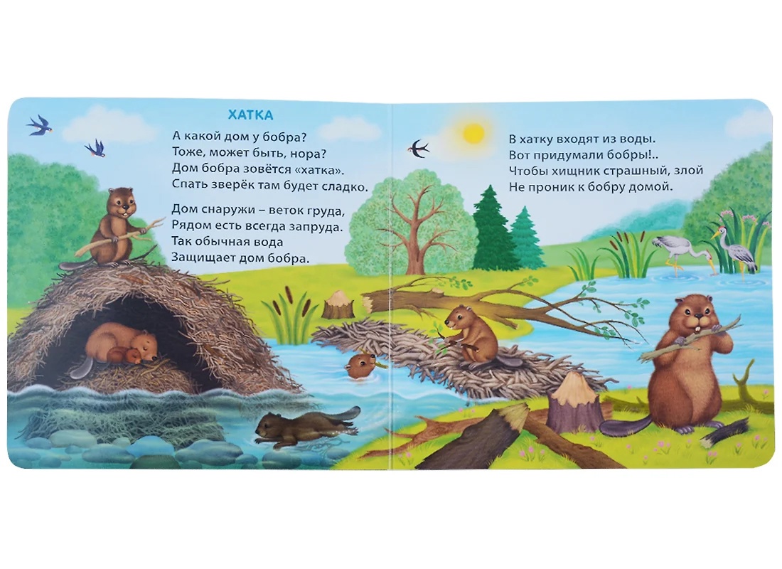 Книга - картонки Удивительные дома животных Робинс - миниатюра 3