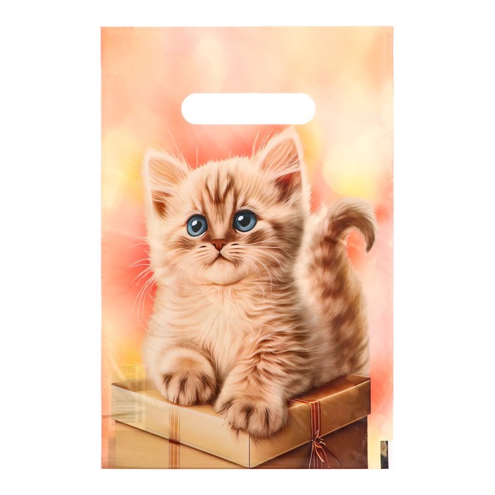 Пакет прорубной 20*30 Подарочный с котиком - фото 1