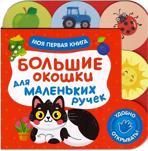 Книга Большие окошки для маленьких ручек Моя первая книга