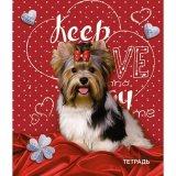  Тетрадь 48л. кл. Йоркширский терьер - фото 1