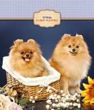  Тетрадь 48л. кл. Милые щенки - фото 1