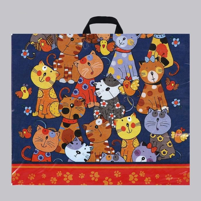 Пакет петлевой Кошкин дом 60*50 4962426/442656 - фото 1