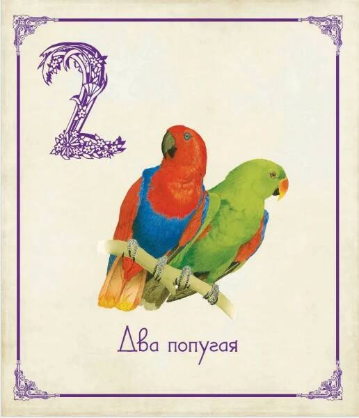 Книга Живые цифры - миниатюра 2