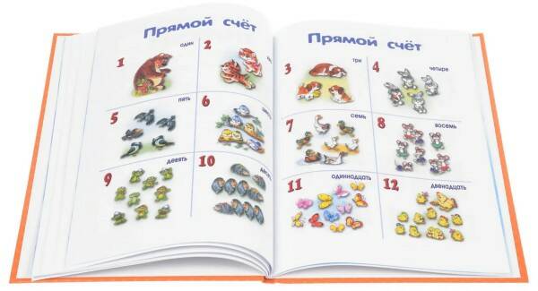 Книга Количество и счет 1+ - миниатюра 3