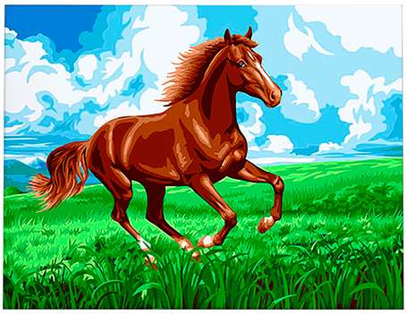 Картина по номерам 40*50 На просторах - фото 1