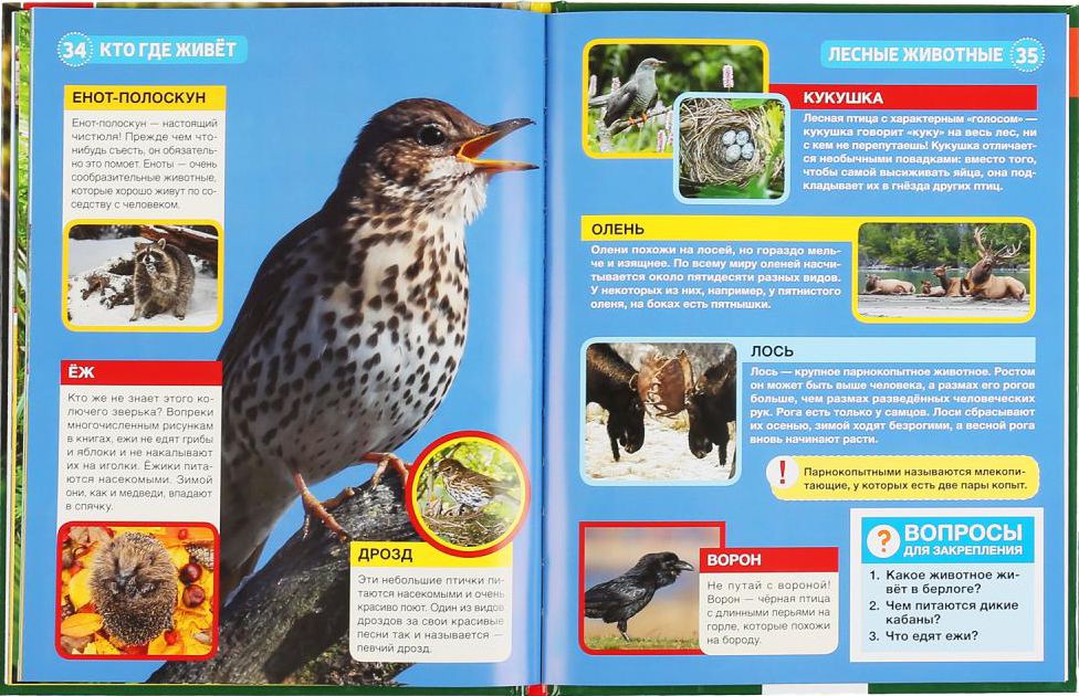 Книга Кто где живет? (энциклопедия) - миниатюра 2