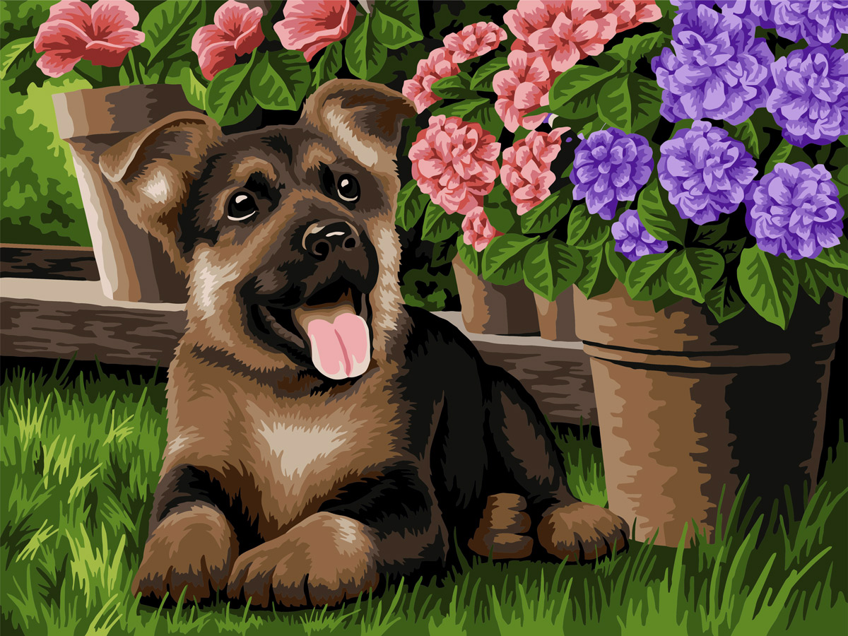 Картина по номерам 30*40 В ожидании прогулки PNB/R2 64 - фото 1