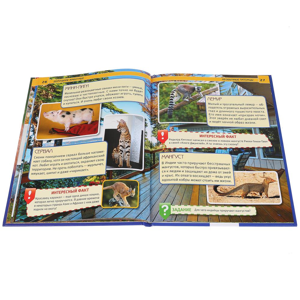 Книга Домашние животные (энциклопедия) - миниатюра 2