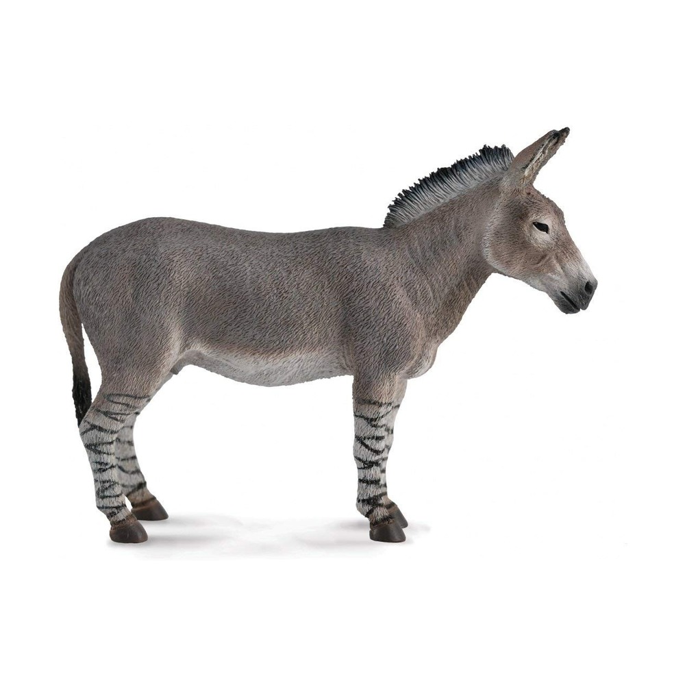 Фигурка коллекционная Осёл Дикий Африканский Collecta - фото 1