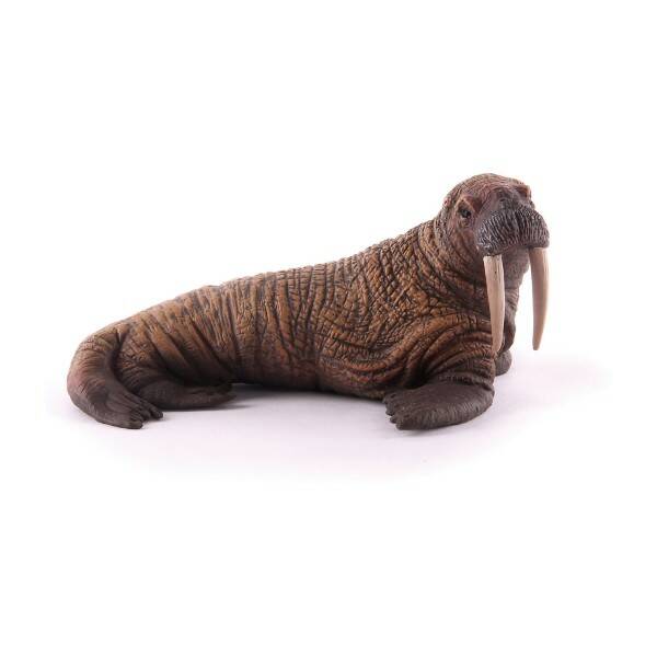 Фигурка коллекционная Морж Collecta - фото 1