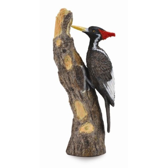 Фигурка коллекционная Дятел белоклювый Collecta - миниатюра 2