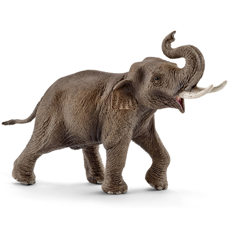 Фигурка коллекционная Слон Азиатский самец SCHLEICH - фото 1