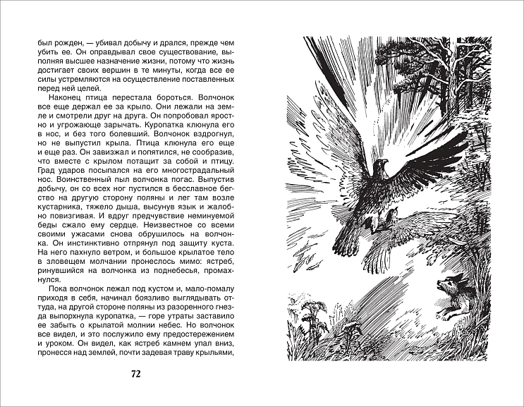 Книга Белый клык Лондон Дж. (ВЧ) - миниатюра 3