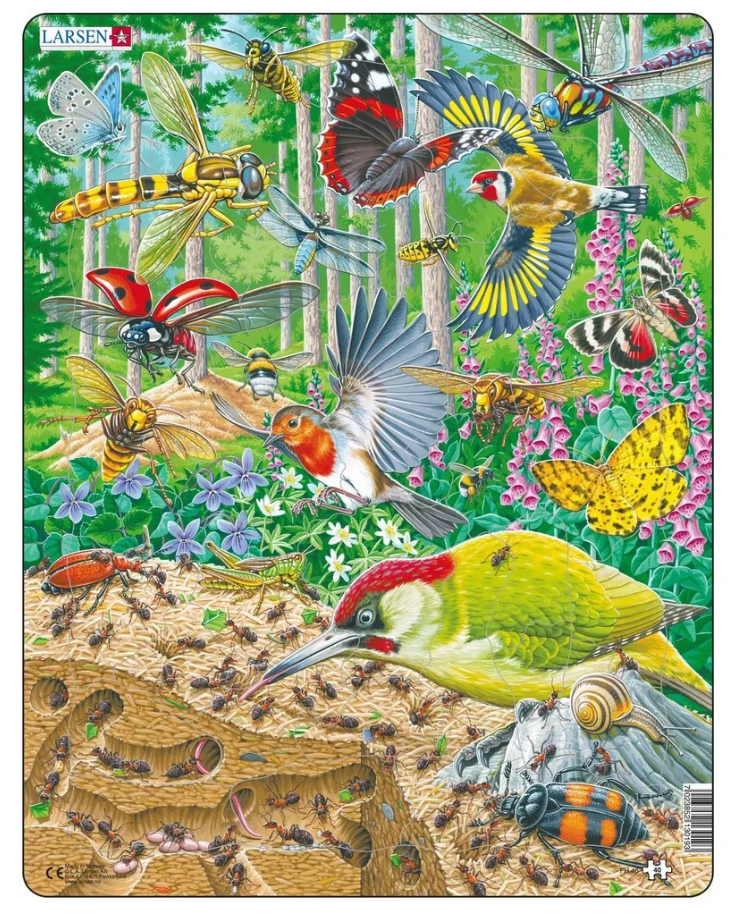 Пазл Муравейник и жизнь вокруг 40 дет. LARSEN - фото 1